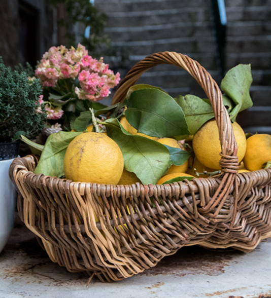 Panier de citrons de Menton
