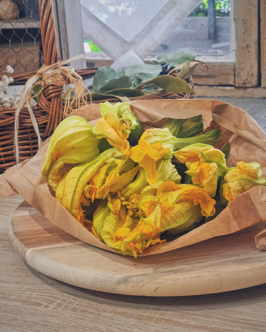 courgettes fleurs de Nice