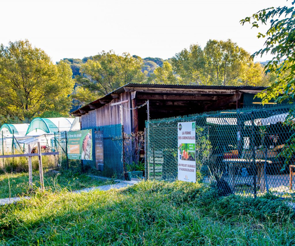 La Ferme des Grenouilles - Fabrice Leroy-Villeneuve-Loubet