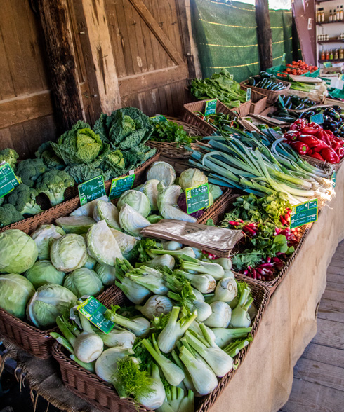 La Ferme des Grenouilles Maraîchage biologique à Villeneuve-Loubet