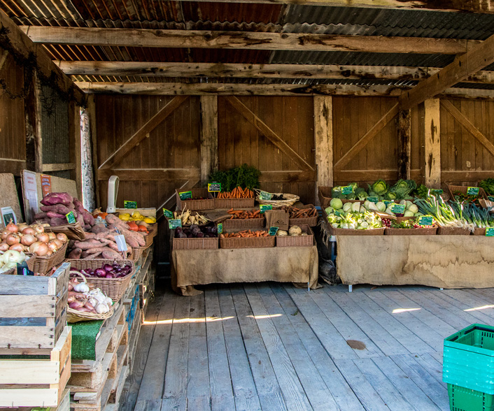 LA FERME DES GRENOUILLES