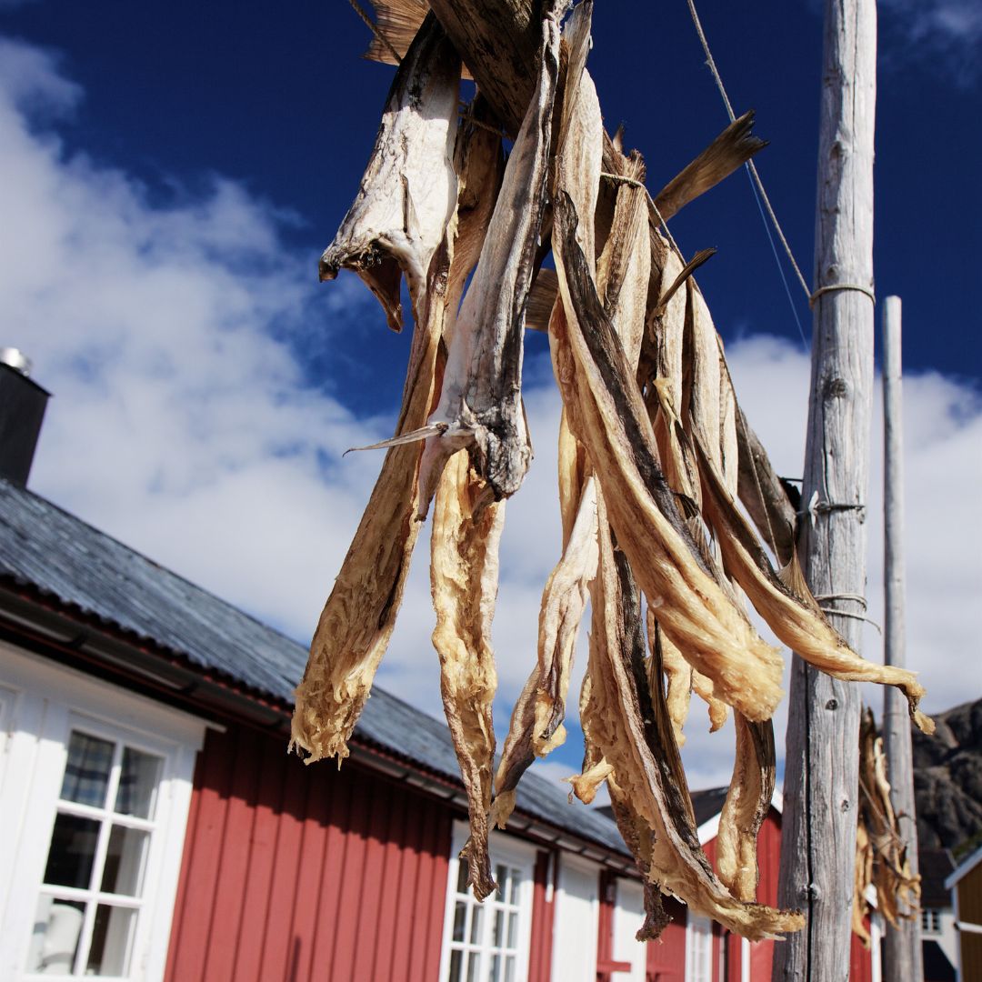 Stockfish en Scandinavie